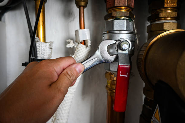 Best 24-Hour Plumber Near Me  in Bovina, TX